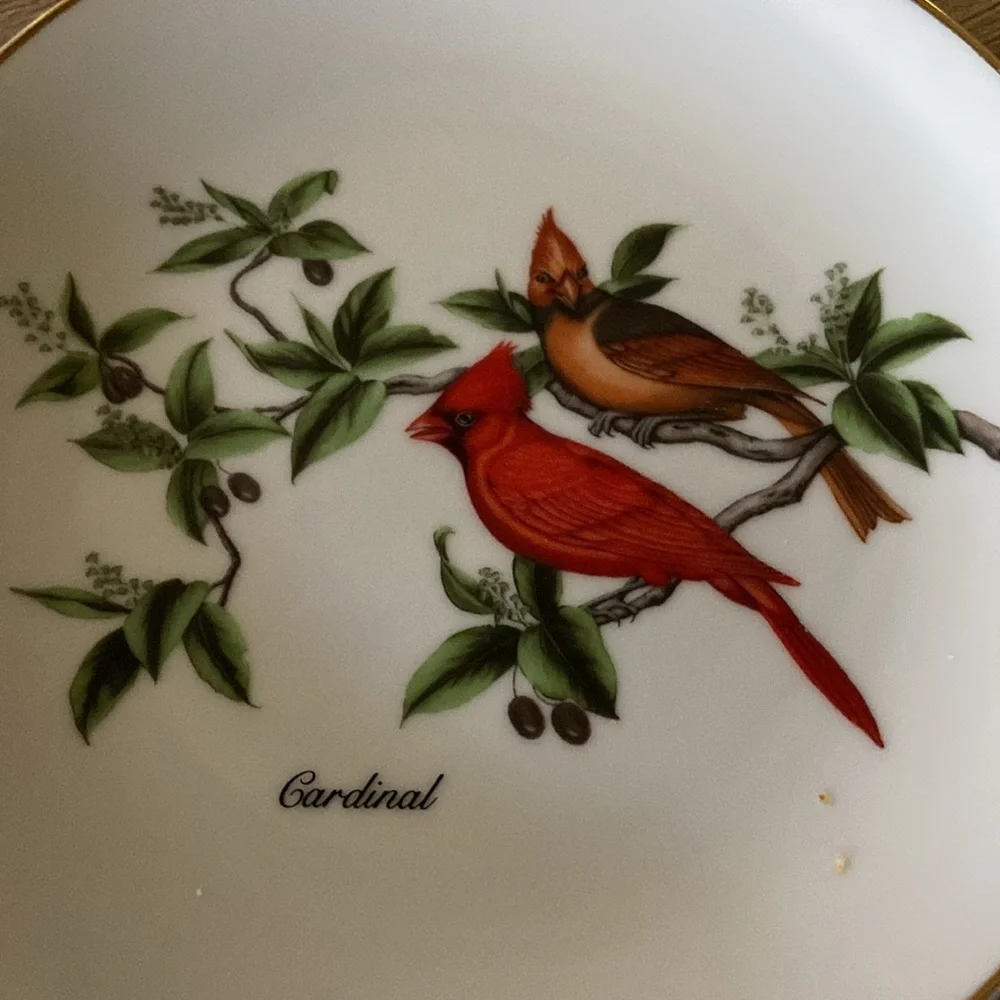 John James Audubon Porcelains Cardinal decorative plate